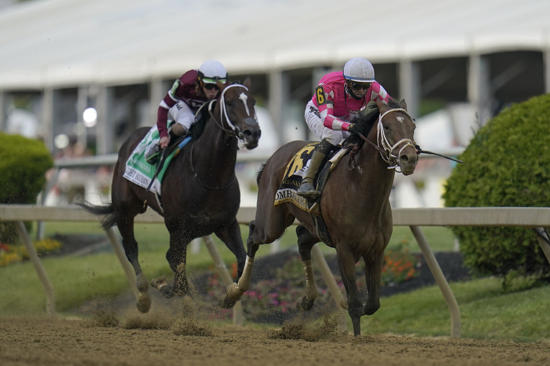 Preakness Stakes Horse Race